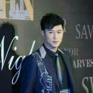 陈键锋全部资料