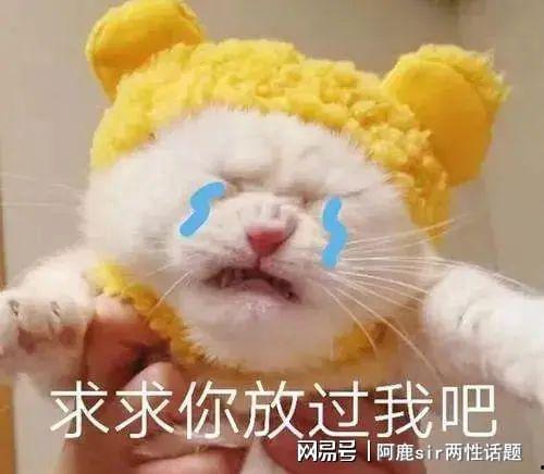 男人割蛋蛋的图片